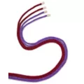 Burgundy and Purple Silky Shackles Bondage Rope 2 Pack - Pleasure Bound at Spencer's