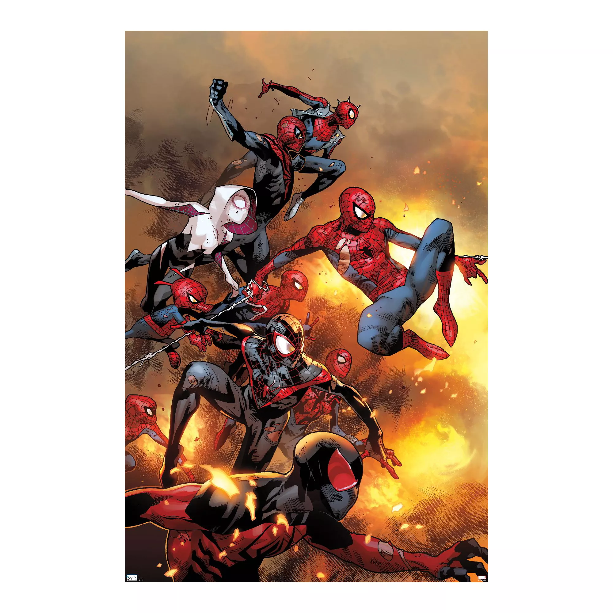 Spider-Man Multiverse Poster at Spencer's