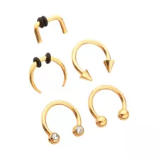 Multi-Pack Gold Variety Septum Rings 5 Pack - 16 Gauge at Spencer's