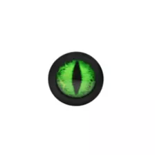Creature Cocks Creature Eye Silicone Butt Plug at Spencer's