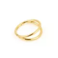 Gold-Tone 2-Row Hinged Hoop Nose Ring - 20 Gauge at Spencer's