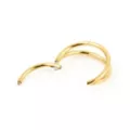 Gold-Tone 2-Row Hinged Hoop Nose Ring - 20 Gauge at Spencer's