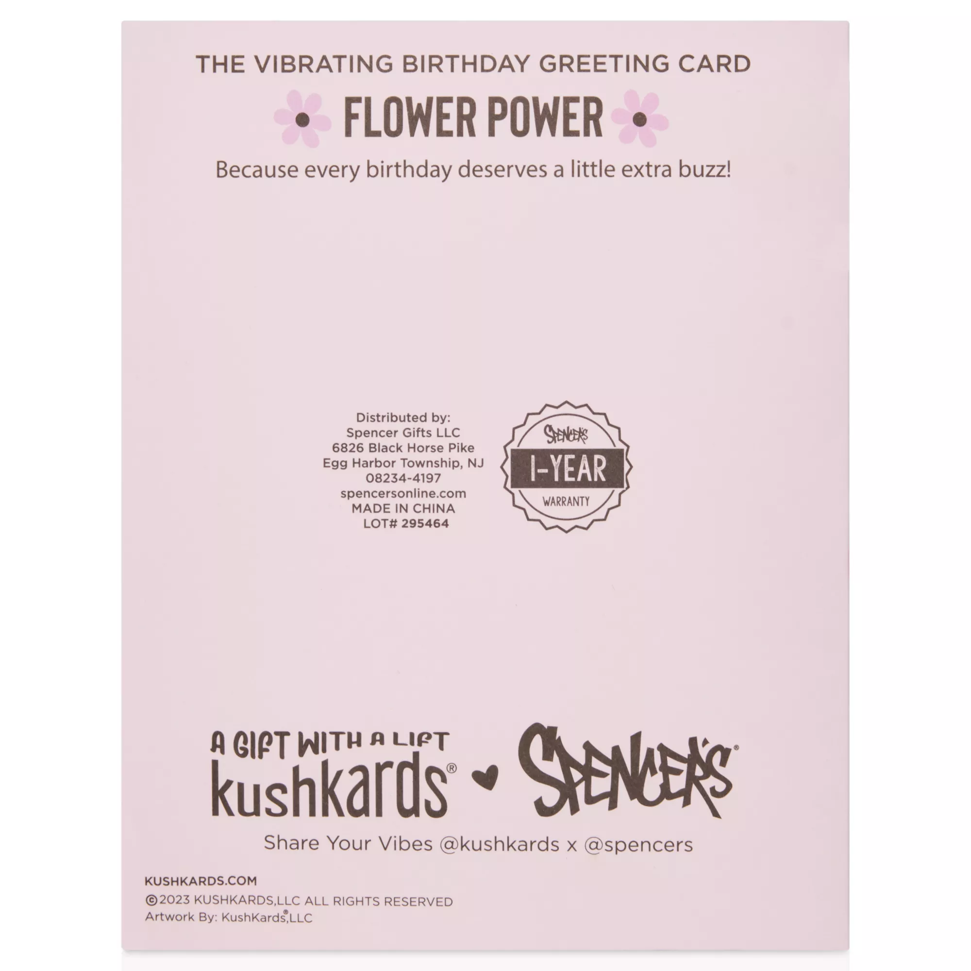 Birthday Vibes Greeting Card with Bullet Vibrator at Spencer's