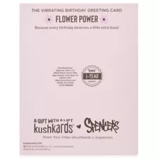 Birthday Vibes Greeting Card with Bullet Vibrator at Spencer's