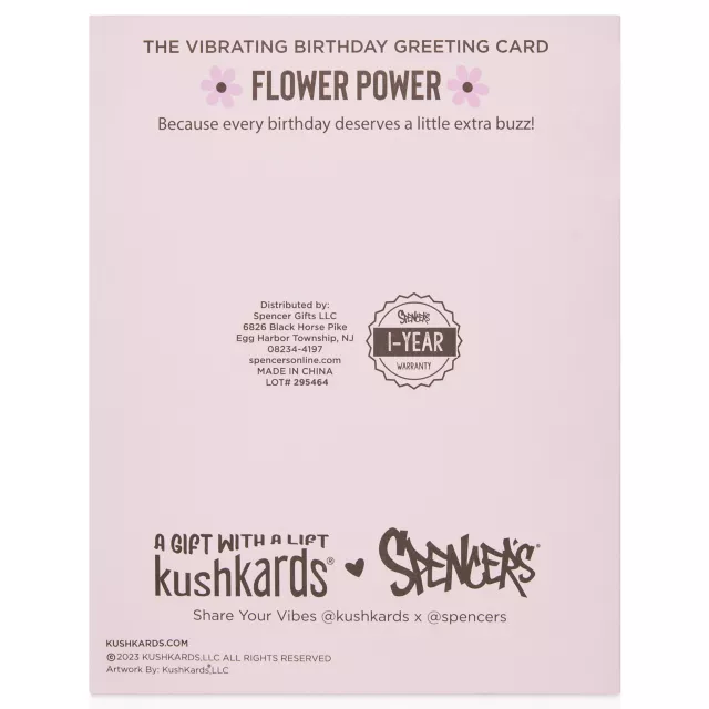 Birthday Vibes Greeting Card with Bullet Vibrator at Spencer's