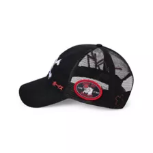 The Boys Death Metal Dad Hat at Spencer's