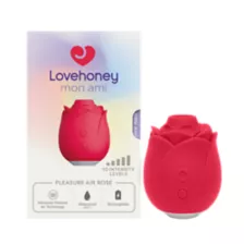 Mon Ami Pleasure Air Rose Vibrator - Lovehoney at Spencer's