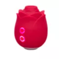 Mon Ami Pleasure Air Rose Vibrator - Lovehoney at Spencer's
