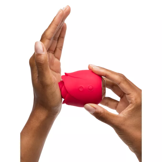 Mon Ami Pleasure Air Rose Vibrator - Lovehoney - Spencer's