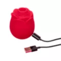 Mon Ami Pleasure Air Rose Vibrator - Lovehoney at Spencer's