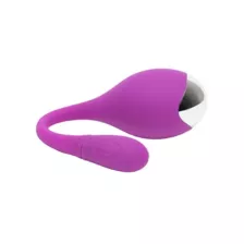 Lovehoney Ignite Vibrating Love Egg at Spencer's