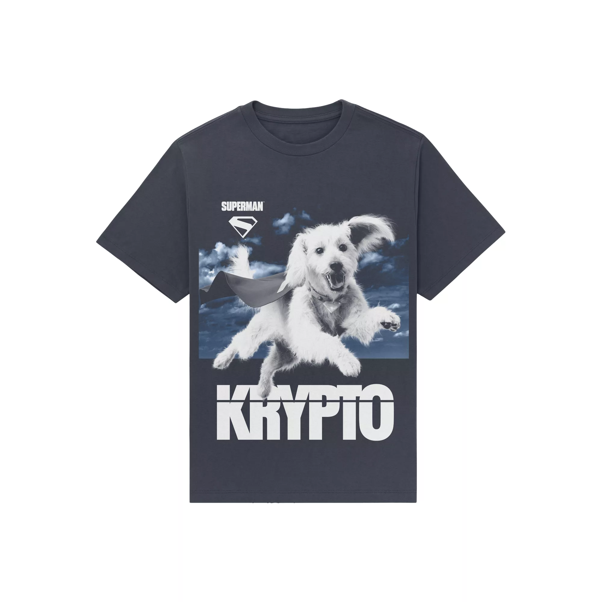 Superman Krypto T Shirt - DC Comics at Spencer's
