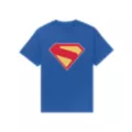 Superman 2025 Logo T Shirt - DC Comics at Spencer's