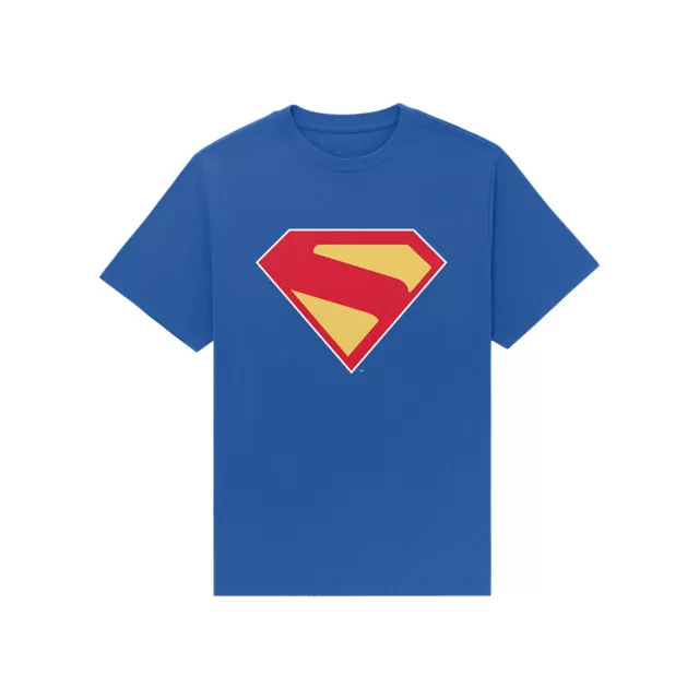 Superman 2025 Logo T Shirt - DC Comics at Spencer's