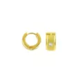 Goldtone CZ Huggie Hoops - 18 Gauge at Spencer's