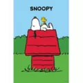 Snoopy and Woodstock Dog House Poster - Peanuts at Spencer's