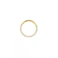 Goldtone CZ Multi-Gem Clicker Septum Ring at Spencer's