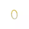 Goldtone CZ Multi-Gem Clicker Septum Ring at Spencer's