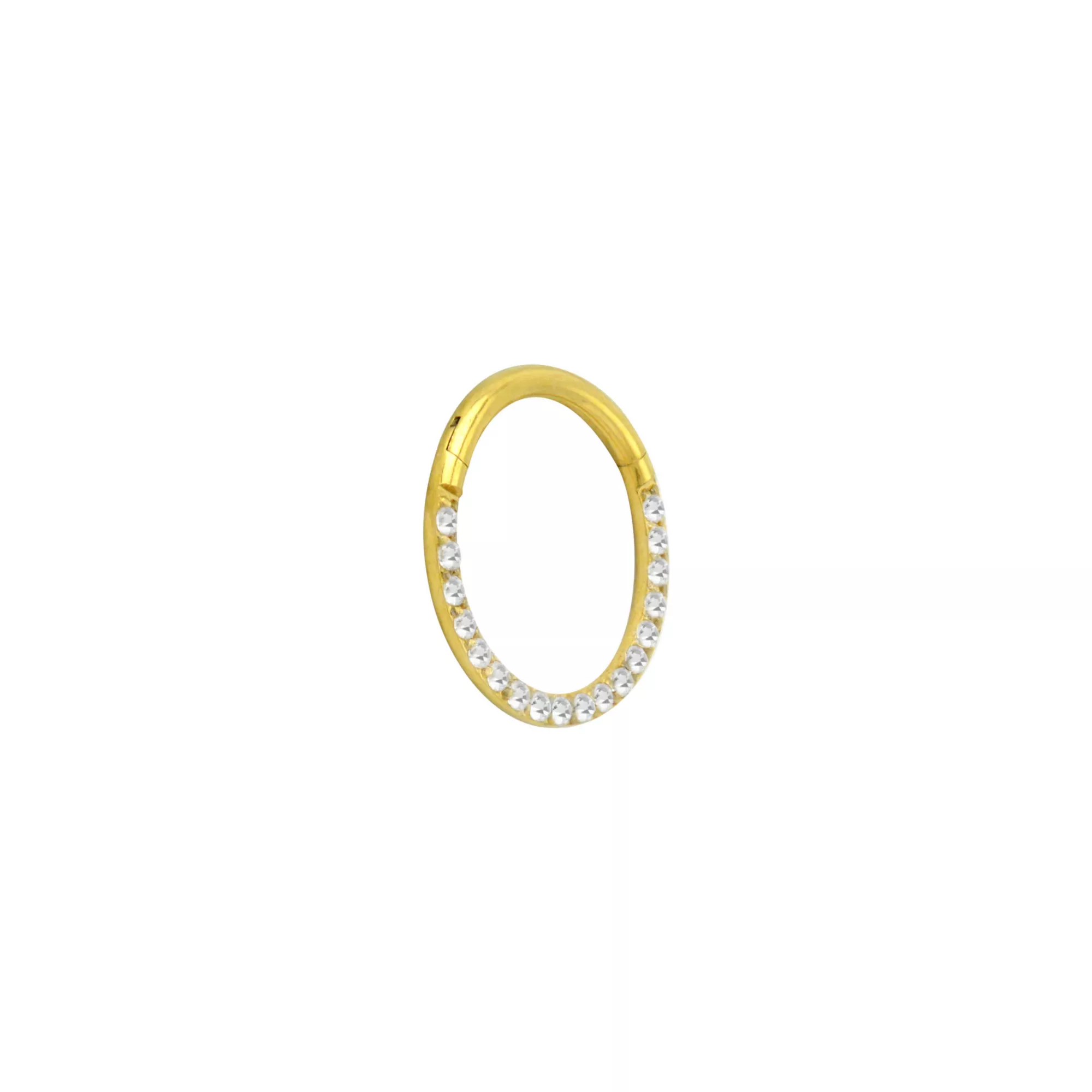 Goldtone CZ Multi-Gem Clicker Septum Ring at Spencer's