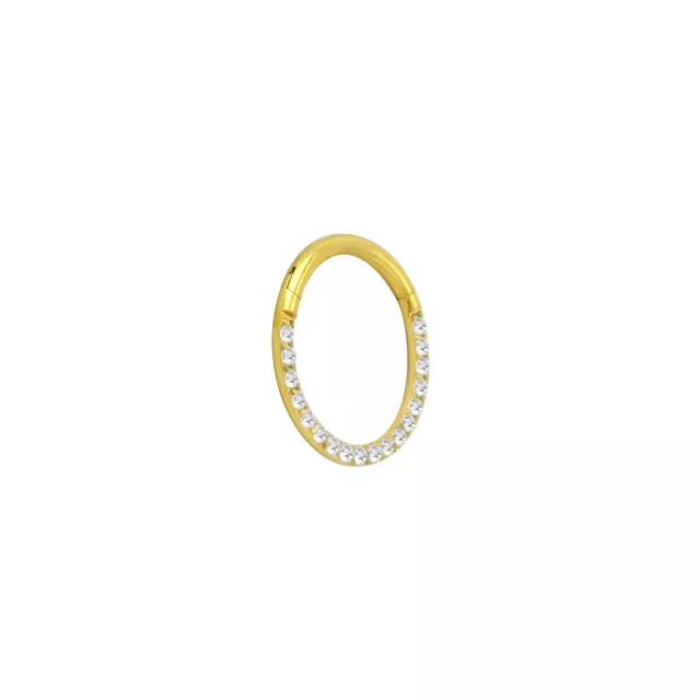 Goldtone CZ Multi-Gem Clicker Septum Ring at Spencer's