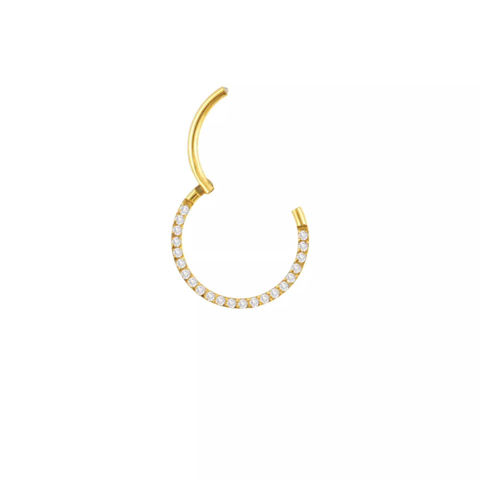 Goldtone CZ Multi-Gem Clicker Septum Ring at Spencer's