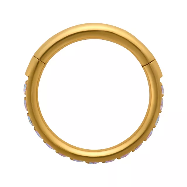 CZ Aurora Borealis-Effect Gold-Plated Titanium Hinged Hoop - 16 Gauge at Spencer's