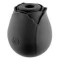 Black Rose Vibrator - Hott Love at Spencer's