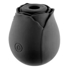 Black Rose Vibrator - Hott Love - Spencer's