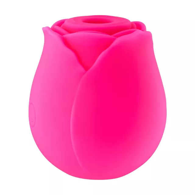 Hott Love Rosé All Day 10-Function Rechargeable Clitoral Massager 2.6 Inch at Spencer's