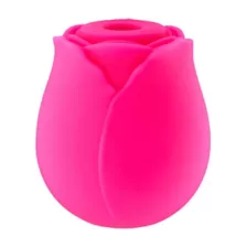 Hott Love Rosé All Day 10-Function Rechargeable Clitoral Massager 2.6 Inch at Spencer's