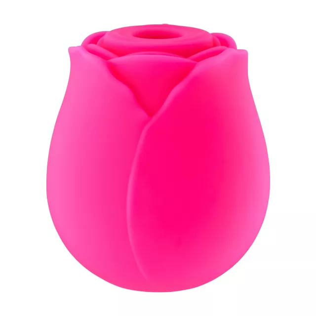 Hott Love Rosé All Day 10-Function Rechargeable Clitoral Massager 2.6 Inch at Spencer's