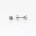 CZ Round Stud Earrings at Spencer's