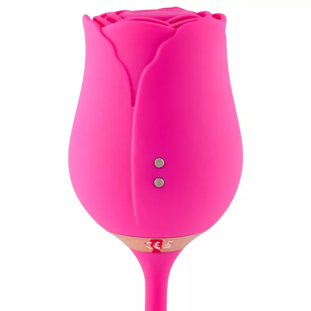 Fantasy Garden 2-in-1 Thrusting Massager - Hott Love Extreme at Spencer's