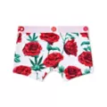 PSD Rose Boyshorts at Spencer's