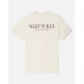 Sleep Token Even In Arcadia Flamingo T Shirt at Spencer's