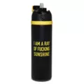 I Am a Ray of Fucking Sunshine Flip Top Water Bottle - 24 oz. at Spencer's