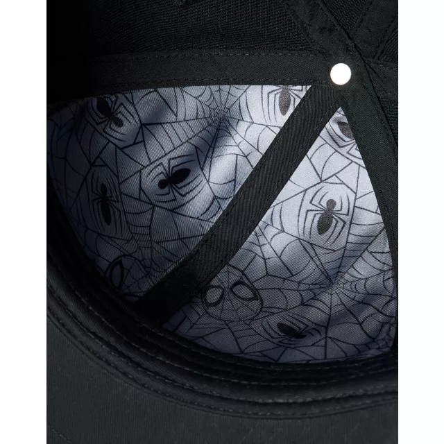 Spider-Man Logo Snapback Hat at Spencer's