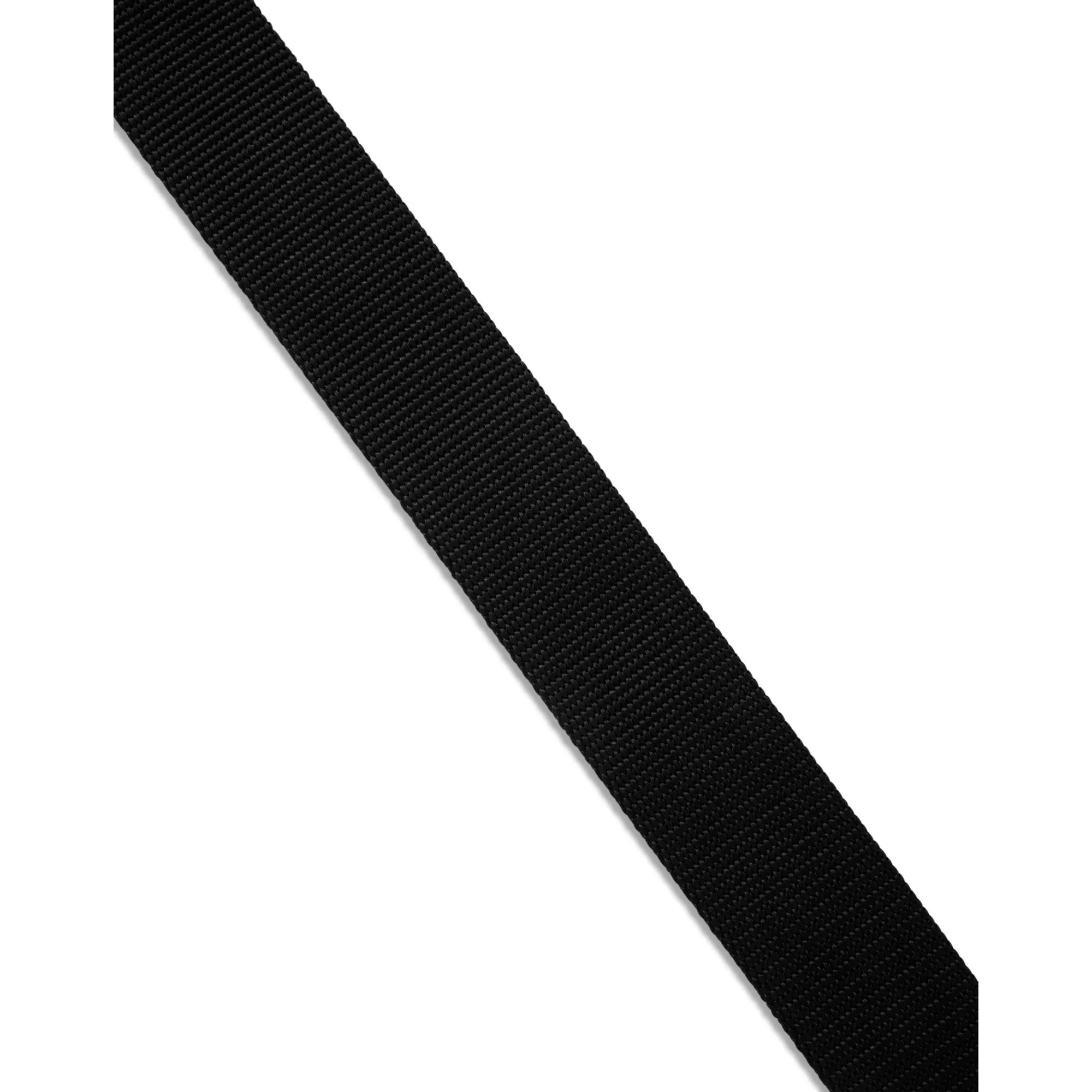 Buckle-Down Starburst Accent Black Seatbelt Belt at Spencer's