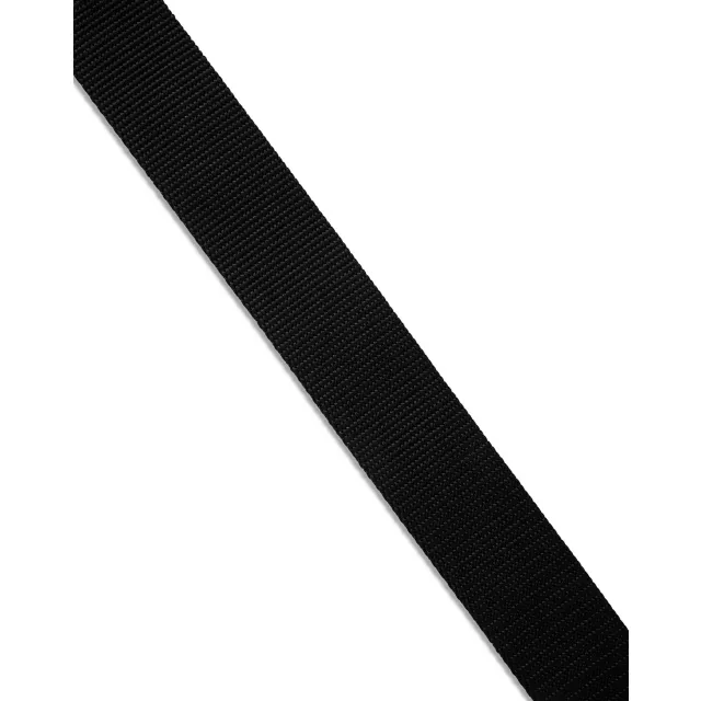 Buckle-Down Starburst Accent Black Seatbelt Belt at Spencer's