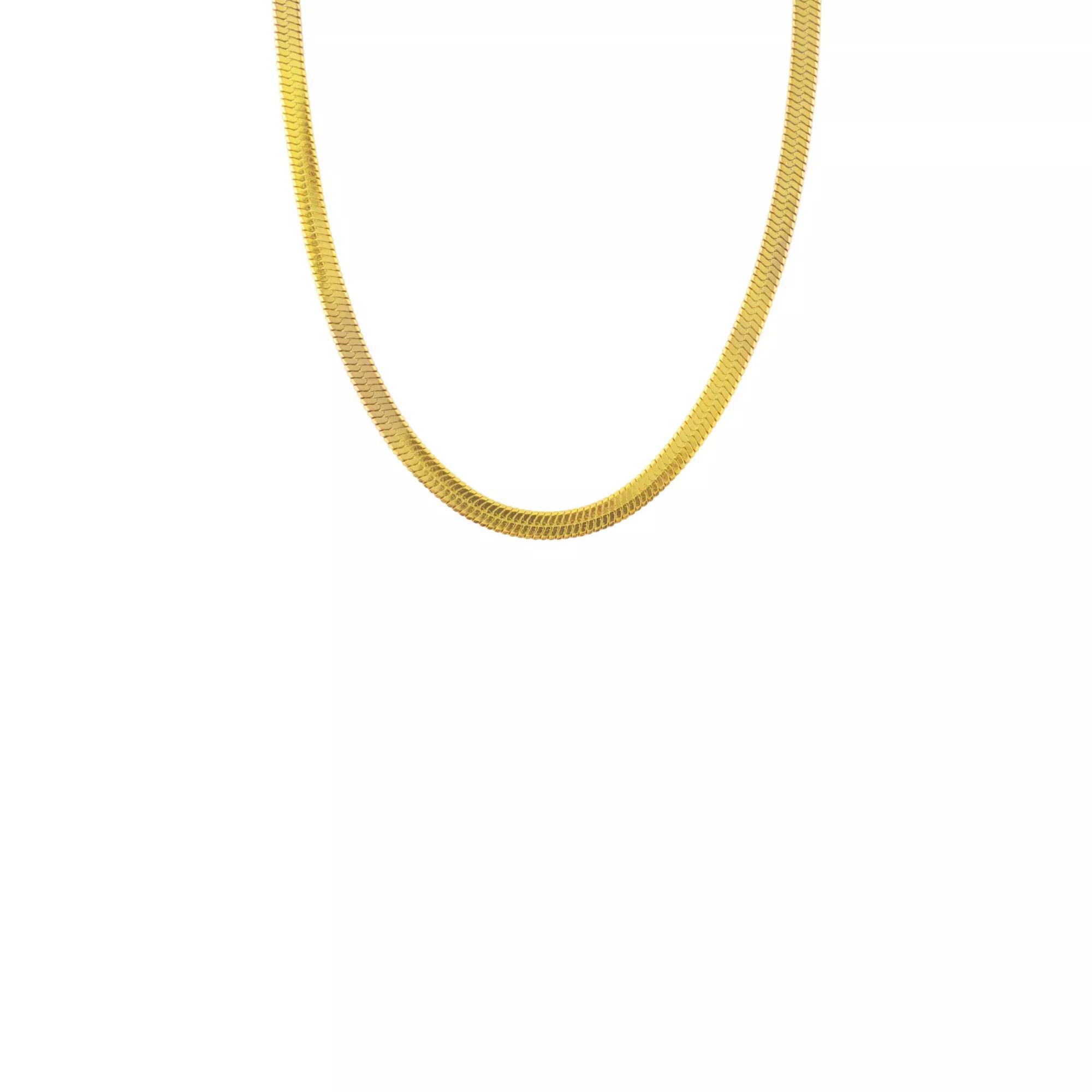 Gold-Tone Herringbone Chain Necklace at Spencer's
