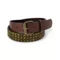 Brown and Golden Studded Belt at Spencer's