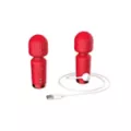 Hott Love Petal Pleaser Vibrating Wand with Rose Attachment at Spencer's