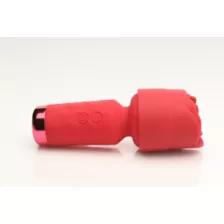 Hott Love Petal Pleaser Vibrating Wand with Rose Attachment at Spencer's