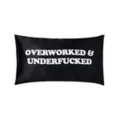 Danny Duncan Overworked & Underfucked Pillow at Spencer's