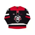 Freddy Fazbear Hockey Jersey - Five Nights at Freddy's at Spencer's
