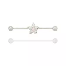 Multi-Pack CZ Titanium Hibiscus Bloom Industrial Barbells 2 Pack - 14 Gauge at Spencer's