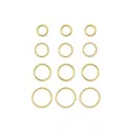 Multi-Pack Textured Gold-Tone Titanium Hoop Nose Rings 12 Pack - 20 Gauge at Spencer's