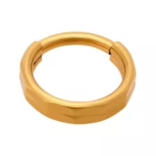 Stacked Bar Gold-Plated Titanium Hinged Hoop Ring - 16 Gauge at Spencer's