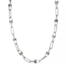 Lock Link Chain Necklace at Spencer's