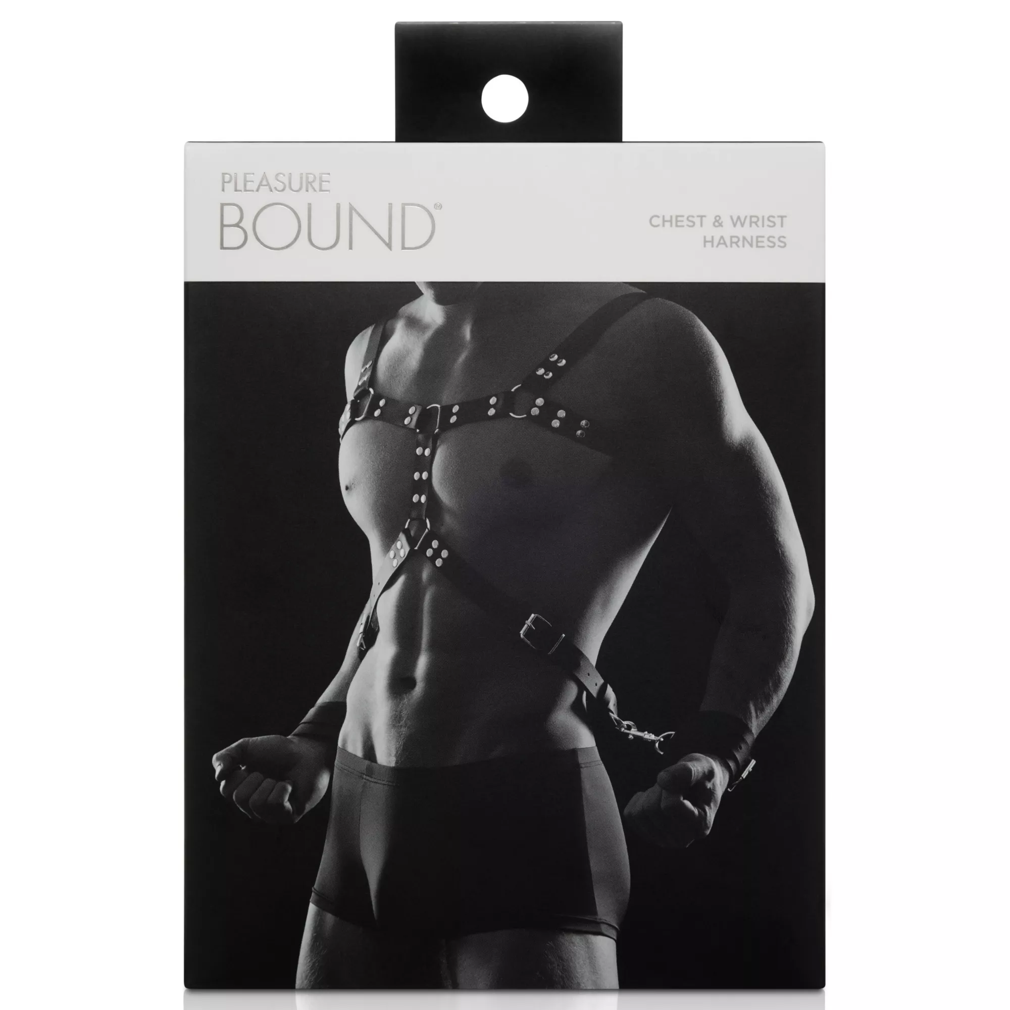 Chest and Wrist Harness Set - Pleasure Bound at Spencer's